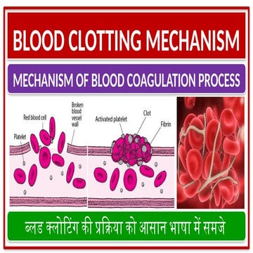 BLOOD CLOTTING MECHANISM COAGULATION BLOOD