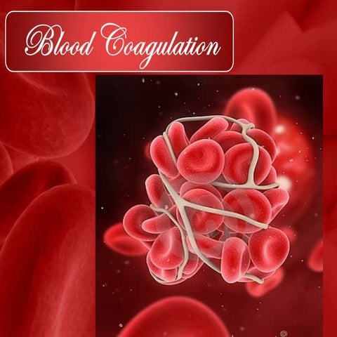 Blood coagulation presentation biochemistry.ppt