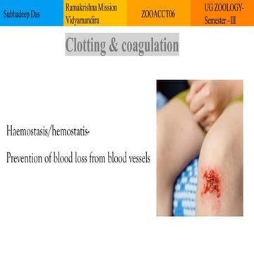 blood coagulation pathway and factors - Copy.pptx