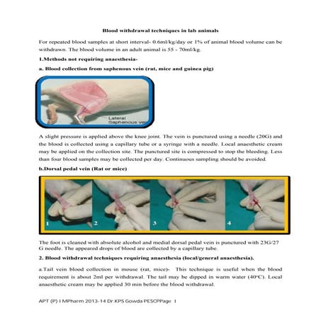 Blood collection in small animals  and blood processing