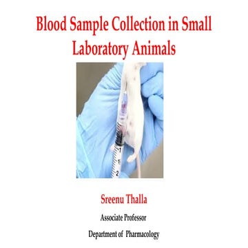 Blood Collection Techniques in Laboratory Animals