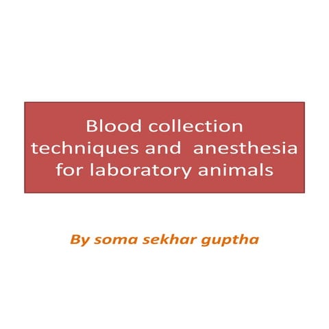 Blood collection techniques from laboratory animals