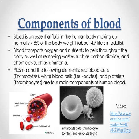 Blood components case study presentation july 2013