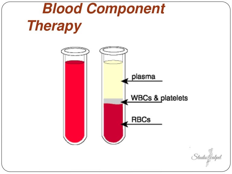 Blood Component Therapy What a clinician needs to know