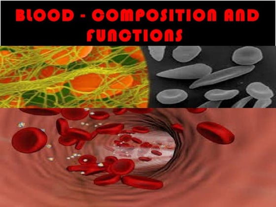 Red blood cell formation and fate of RBC | PDF