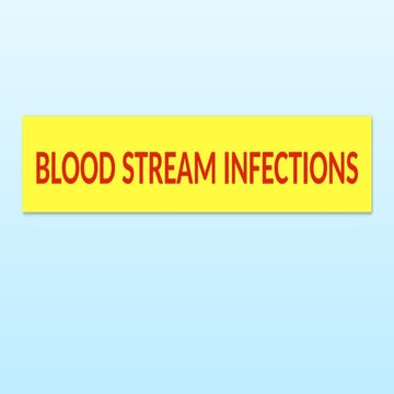 Blood stream infections | PPT