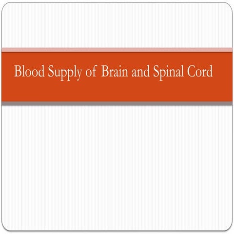 The blood supply of the brain and spinal cord | PPTX