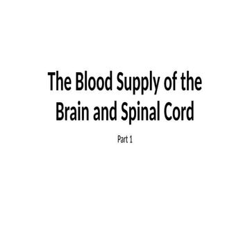Blood Supply of the brain stem and its Importance .pptx
