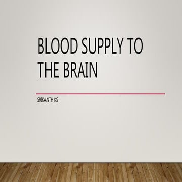 Blood supply brain