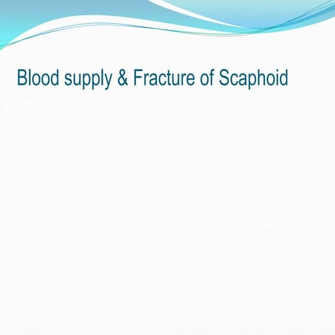 Blood supply & fractures of scaphoid