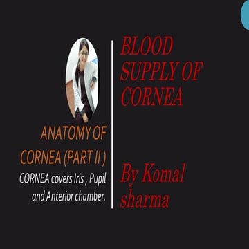 Blood supply in cornea