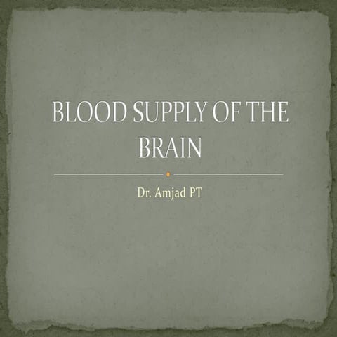 Blood supply of brain