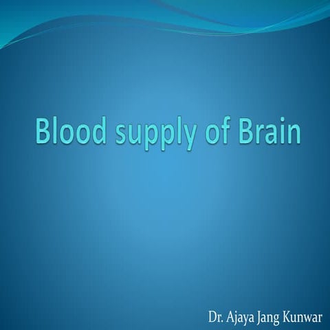 Blood supply of brain
