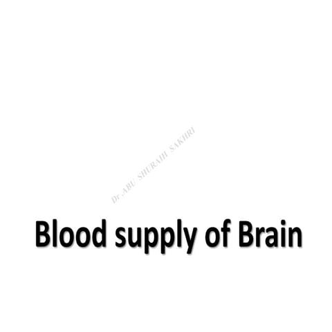 Blood supply of brain
