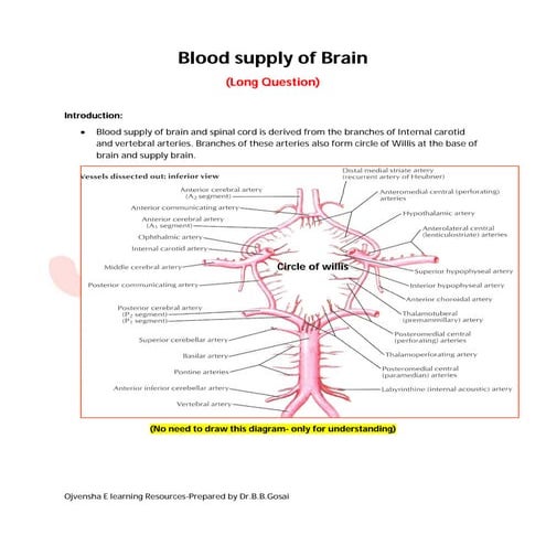 Blood supply of brain dr.gosai
