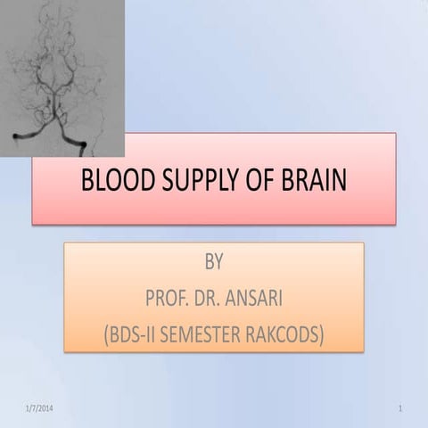 Blood supply of brain (2)