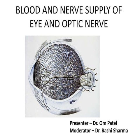 Blood Supply Of Eye and Optic Nerve