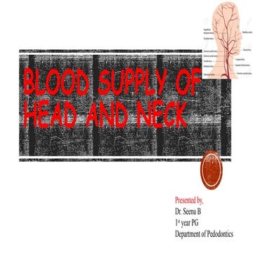 Blood supply of head and neck | PPTX