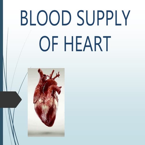 Blood supply of heart