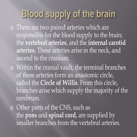 Blood supply of the brain, neuro anatomy .