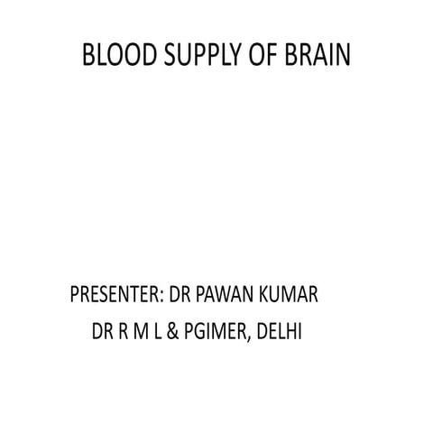 Blood supply of the brain