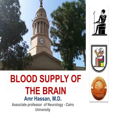 Blood supply of the brain