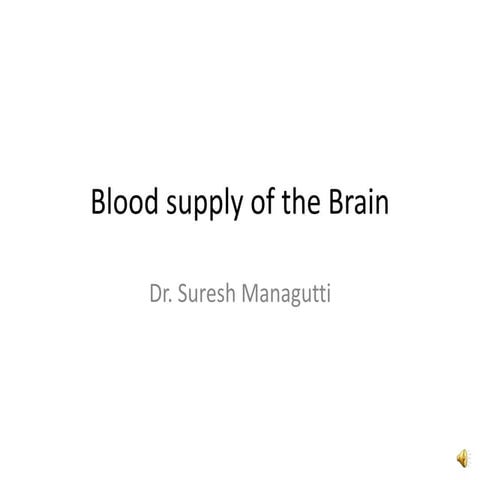 Blood supply of the brain