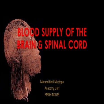 Blood supply of the brain & spinal cord cns- | PPTX