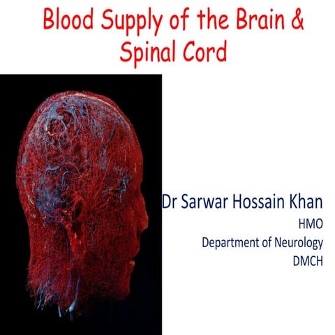 Blood supply of the brain & spinal cord by dr sarwar
