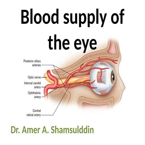 bloodsupplyoftheeye-150315122958-conversion-gate01 (1).pptx