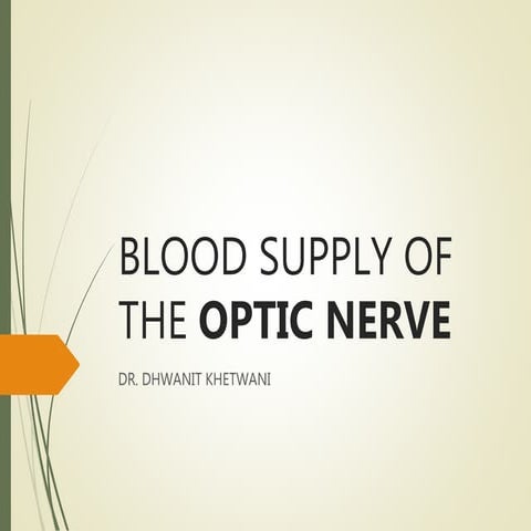 Blood supply of the optic nerve
