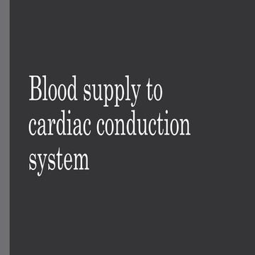 Blood supply to cardiac conduction system