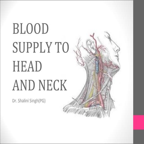 Blood vessels of head and neck | PPT