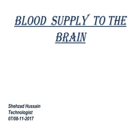 Blood supply to the brain