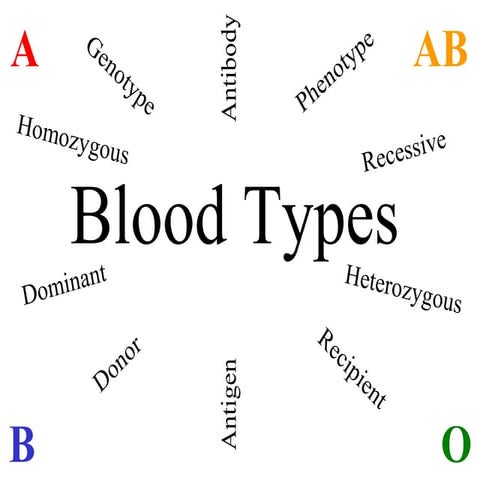 Bloodtypes