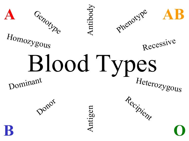 Blood Genotypes And Phenotypes Chart