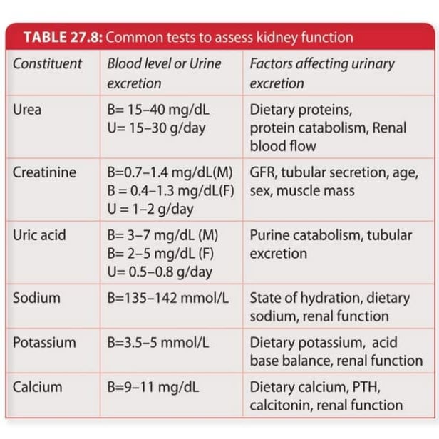 Blood Urea Estimation nitrogen containing.pdf