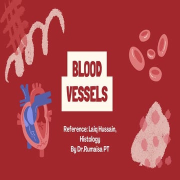 Blood Vessels histology by Dr.Rumaisa PT