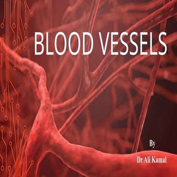 Bloodvessels | PPT