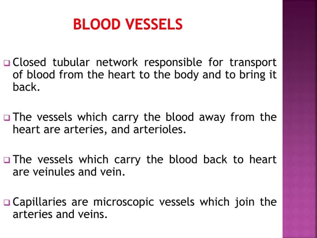 BLOOD VESSELS-converted.pdf