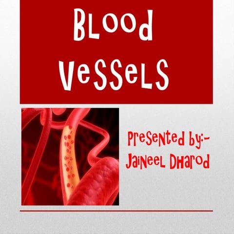 Blood vessels and circulation