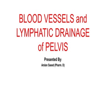 Blood vessels and lymphatic drainage of pelvis