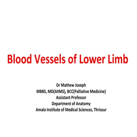 bloodvesselsoflowerlimb-230302034633-5d194285.pdf