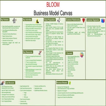 BLOOM Business Model Canvas