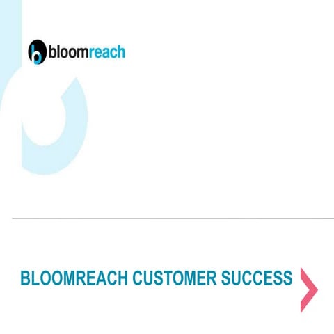 BloomReach Customer Success Stories