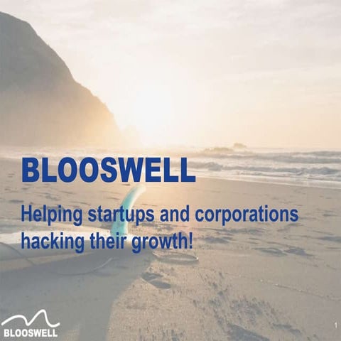 Blooswell - Growth Hacking