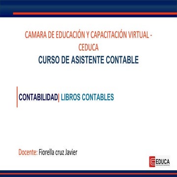 BLOQUE 5 LIBROS CONTABLES - ASISTENTE CONTABLE | PDF