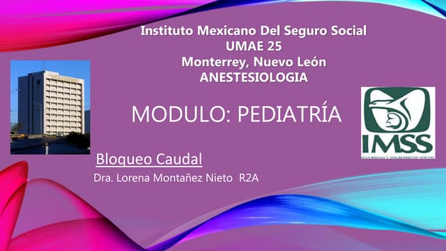 Bloqueo caudal