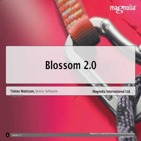Blossom 2.0 Presentation