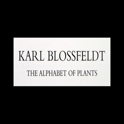 Blossfeldt_Karl.pdf